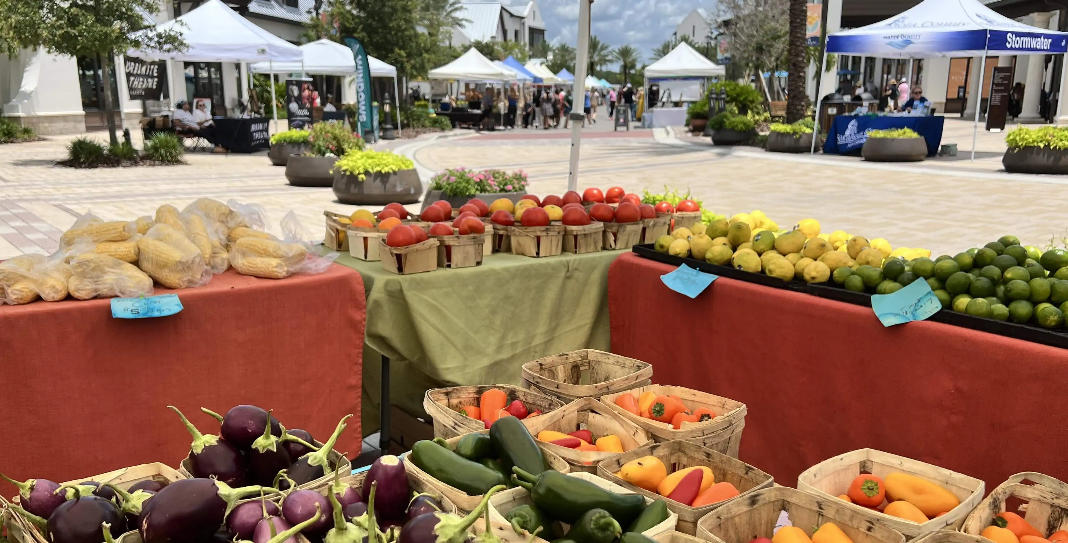 Farmer's Market Produce Booth in Sarasota